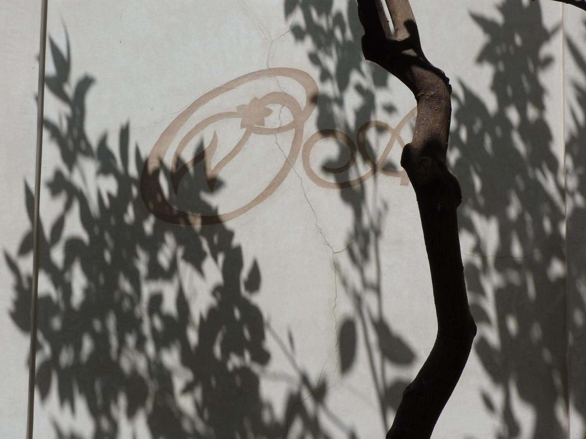 Riad Les Orangers D'alilia Marrakesh Bagian luar foto