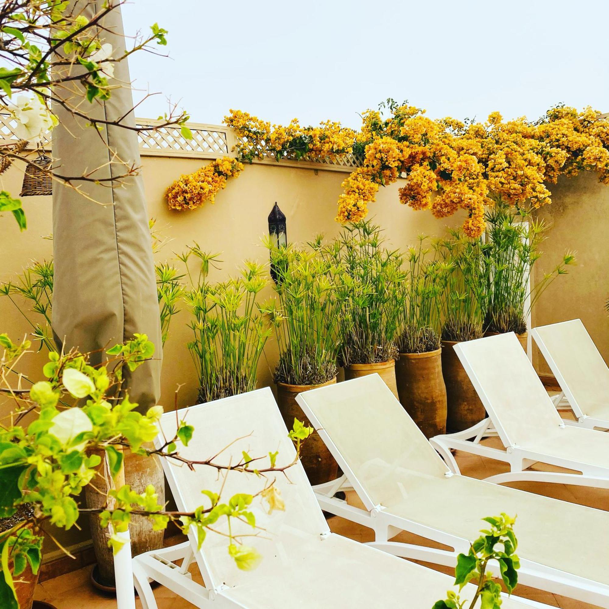 Riad Les Orangers D'alilia Marrakesh Bagian luar foto