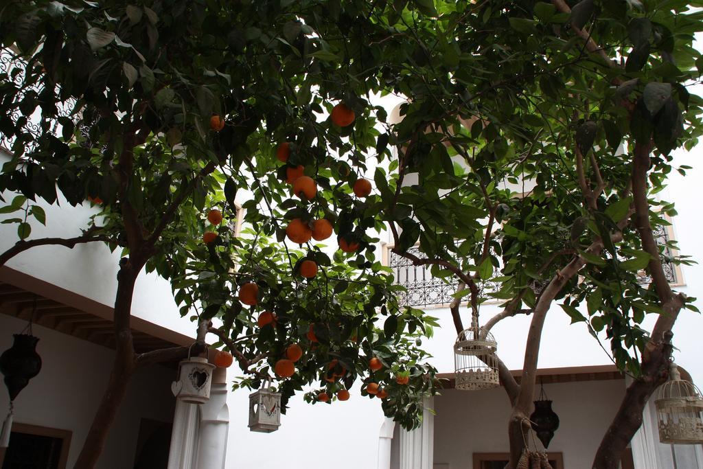 Riad Les Orangers D'alilia Marrakesh Bagian luar foto