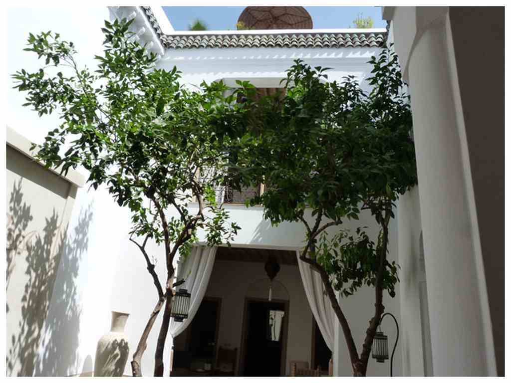 Riad Les Orangers D'alilia Marrakesh Bagian luar foto